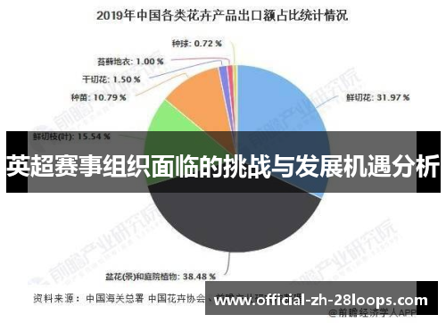 英超赛事组织面临的挑战与发展机遇分析