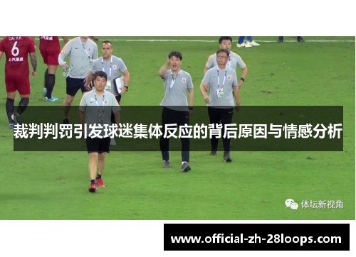 裁判判罚引发球迷集体反应的背后原因与情感分析
